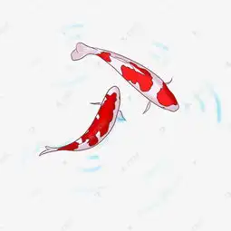 情侣头像红色系抱锦鲤