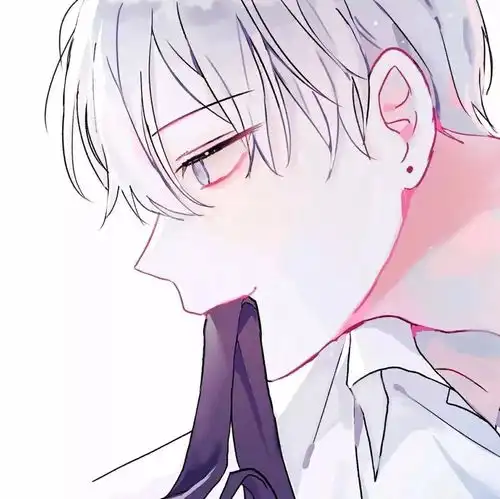 动漫男生头像我渡得过万里狂风,渡得过诗酒年华,却渡不过你的目光