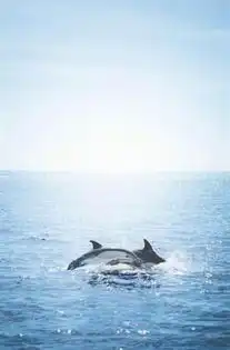 日系小清新唯美风景