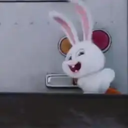 爱宠大机密丽颖微博头像小兔子各种照,这些剧情记得真爱粉么