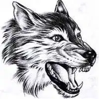 野狼战狼微信头像微信头像图片大全