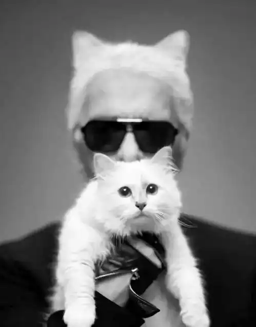 85岁老佛爷离世数亿资产留给宠物,网友感慨人不如猫