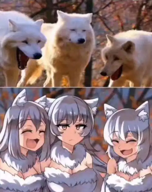 当动物遇上二次元,猫娘看起来超可爱,二哈也可以很萌