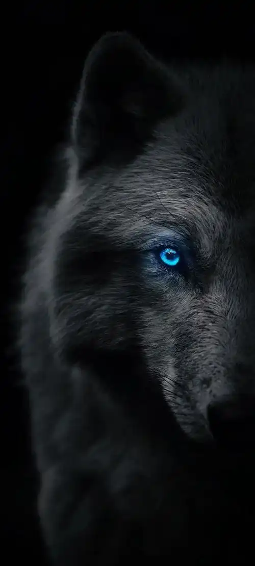 手机壁纸黑色系高冷壁纸