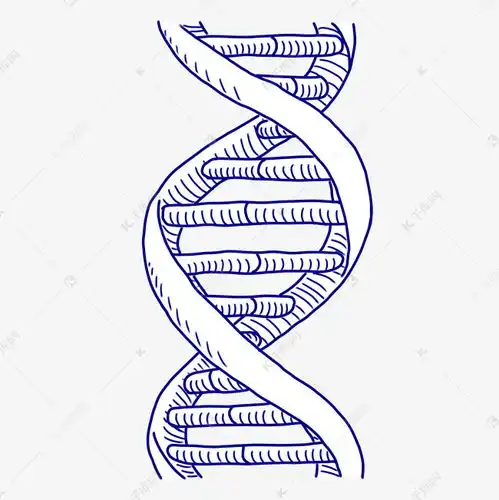 卡通手绘dna线条素材图片免费下载千库网