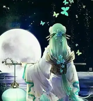 海贼世界里我是个奇怪的鬼手