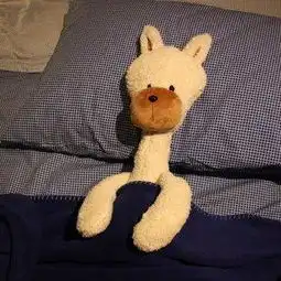 超萌可爱呆呆羊驼情侣小羊毛绒公仔儿童玩具堆糖,美好生活研究所