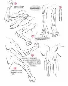 专栏文章