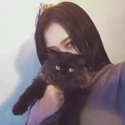 有诗意的女生头像系列图