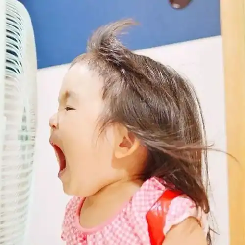 萌系头像总是贪图你们的可爱