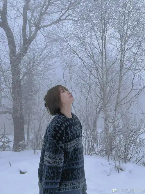 虞书欣猜一部我心目中的电影一封冬日里的情书