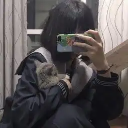 沙雕十七在线互粉