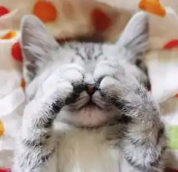 明日入伏,最难缠的湿气居然在这里女生们一定要当心