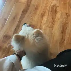 电话,地址,价格,营业时间青岛休闲娱乐
