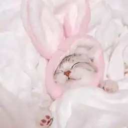 可爱粉色系头像欧美大写