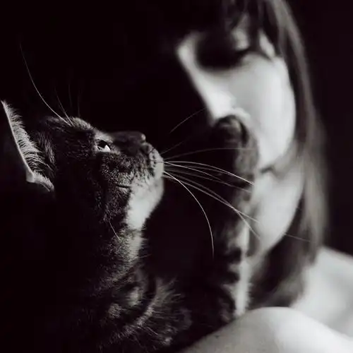 从此我再也不是一个劝分不劝合的人