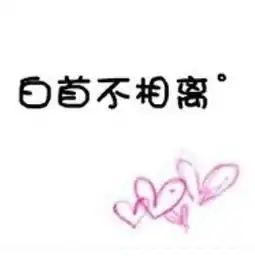 求对应的白首不相离图片