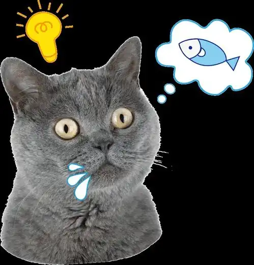 治愈系的猫咪女生头像自