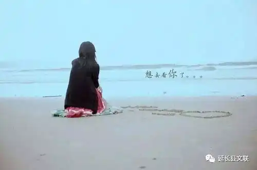 延河流韵雨时光背影