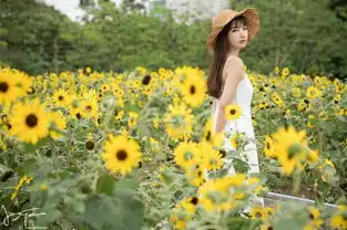 看似很无私,其实心中只有自己的三大星座