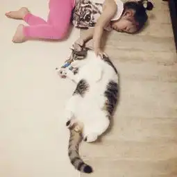 绝对治愈系照片孩子与猫咪的日常生活
