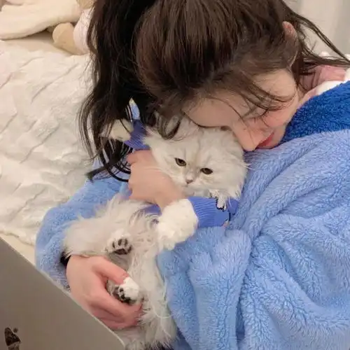 头像这种沙雕头像不常见啊