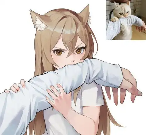 网友分享吸猫四大流派,不好意思,我是第五种给我变派的