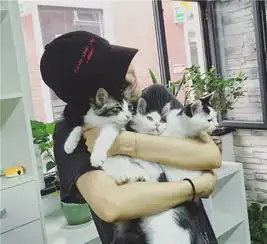 爱喵的女人如此美高圆圆baby沦陷为猫奴