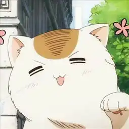 求这只猫的系列图