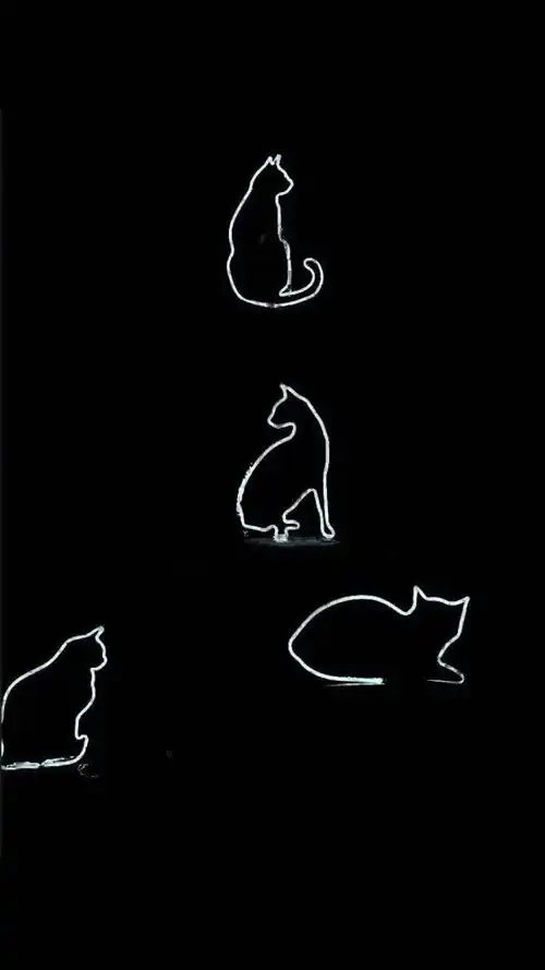 有哪些适合做手机壁纸的黑底色图片