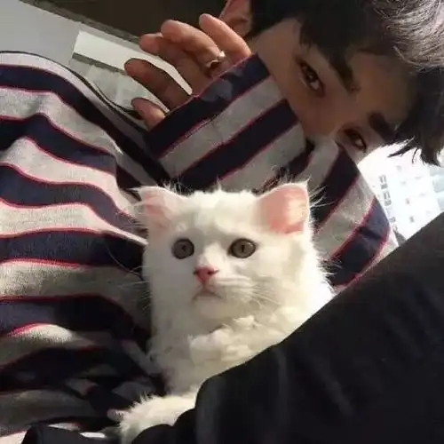 猫系女友喜欢什么样的男