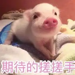少女心爆棚,郑州的秋天竟然是粉红色的,网红粉黛乱子草梦幻来袭