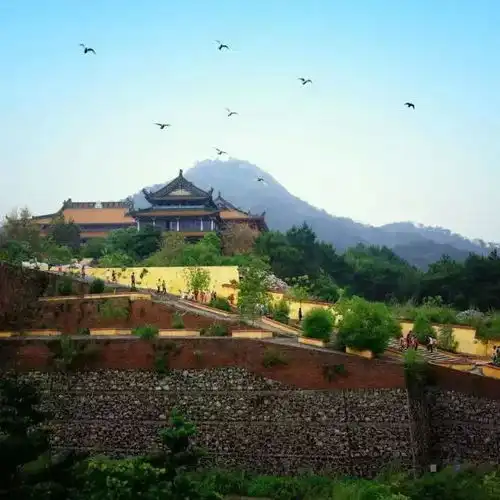 盛夏之约采摘龙眼观音寺祈福活动