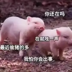 渣男系列表情图不会撩妹被说直男,会撩又被说成渣男,我太难了