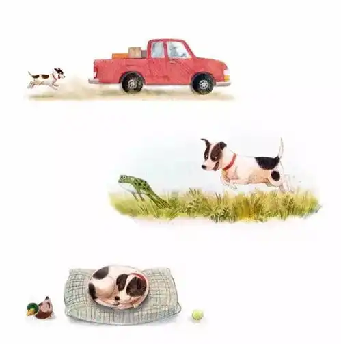 超级可爱的萌系小插画,好想摸一摸