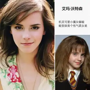 娱乐圈美女养成记