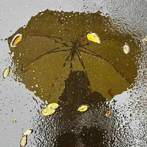 高级艺术感头像一组,品味之王拿去用吧