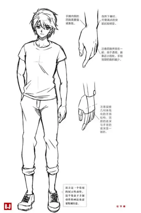 动漫人物头像画法教程姿