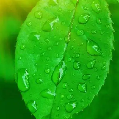 乐鱼官网客服电话