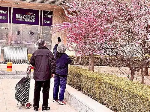 白色系卡通动漫情侣头像