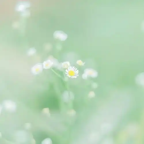 八月,愿世间所有的美好,都如约而至