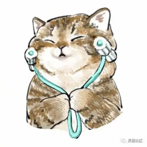 真是超级无敌的猫咪小可爱呀