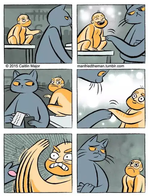一组脑洞漫画如果人和猫互换身体,会发生什么