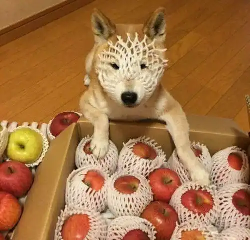 开心一刻今天去逛街的时候,被一个男的狠狠地撞了个跟头