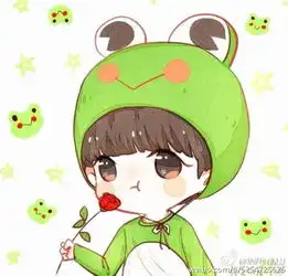 王源q版wytop1108crloge