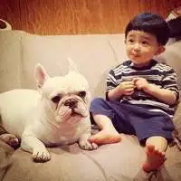 一个男生一个狗的头像微信头像图片大全