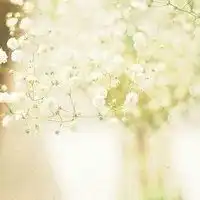 满天星头像唯美图片微信头像图片大全