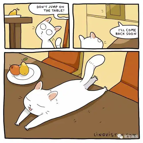 漫画演绎和猫咪在一起的日常生活,满满的猫奴血泪史