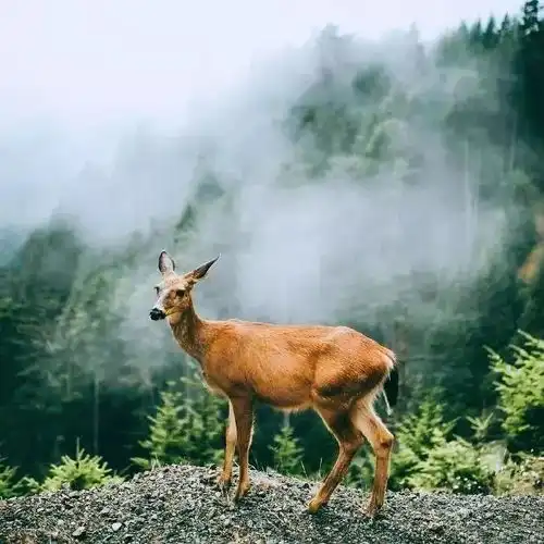 余生,致自己的掏心话