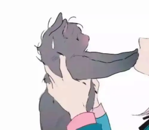 19年超宠溺情侣头像,开学后都在用,最后一组太嚣张